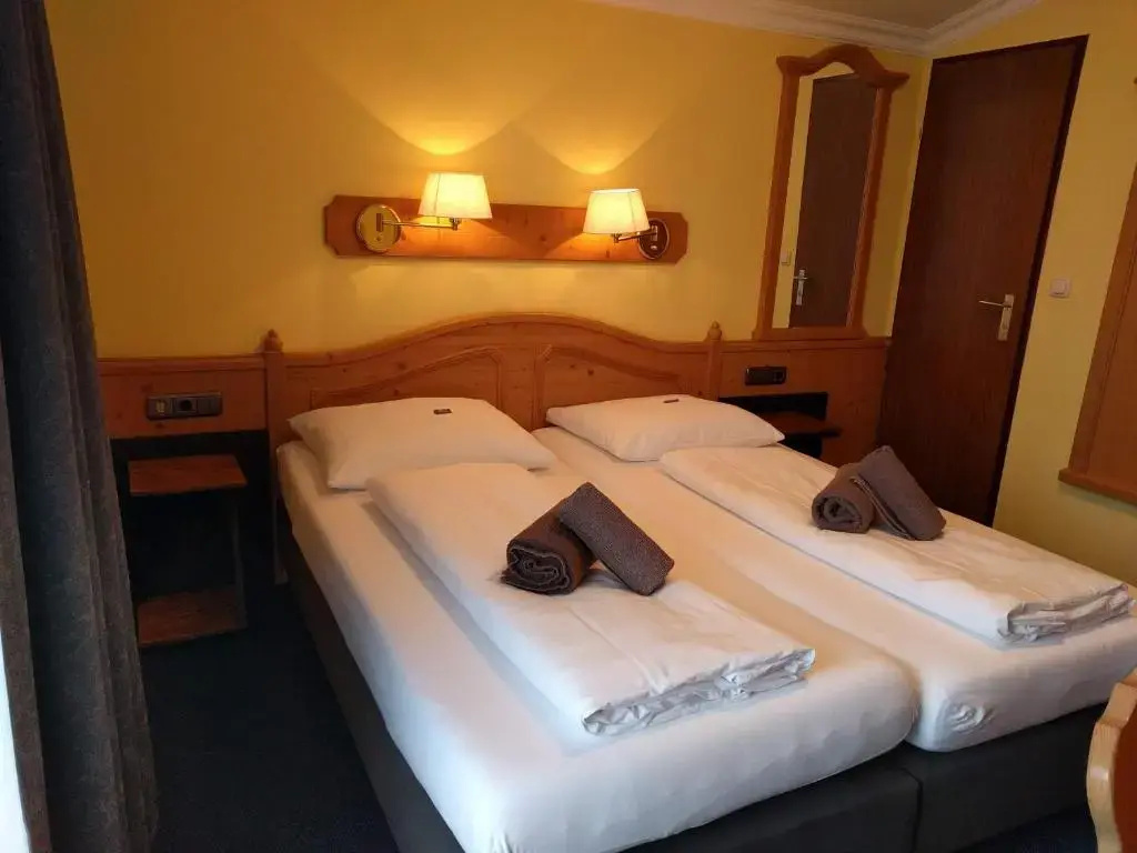 Standard Double room with mountain view (full double bed)