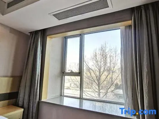 Business Double room (twin beds)