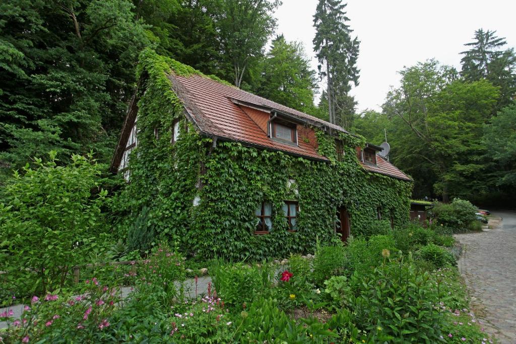 Image 20