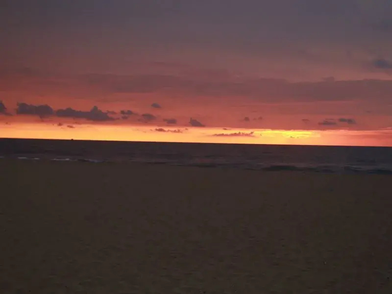 The Hotel Romano- Negombo - Général
