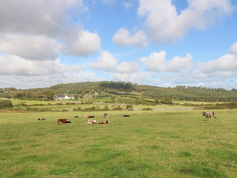 Trefor Ganol