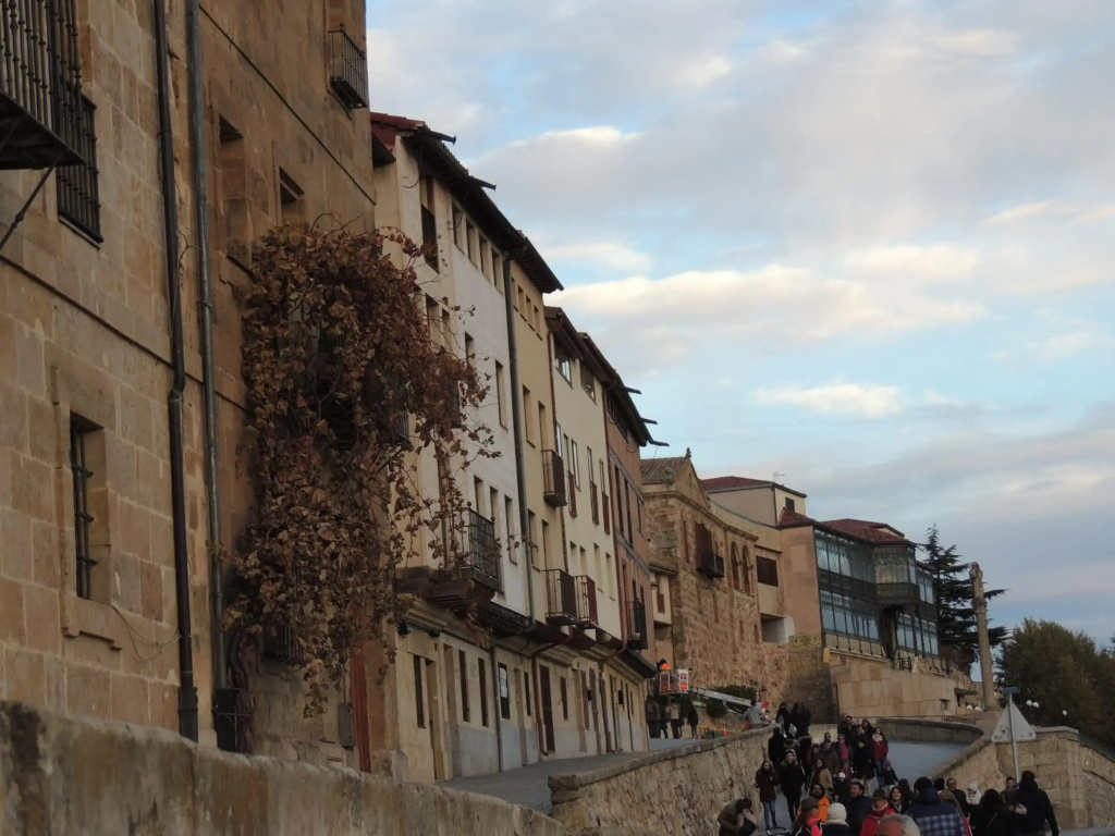 Apartamento Ribera Del Puente
