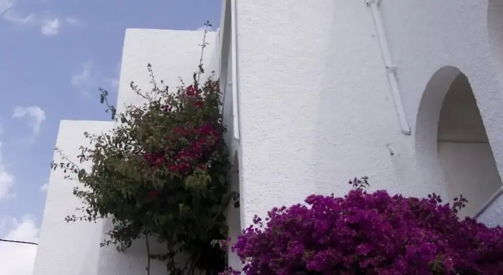 Hostal Las Gaviotas