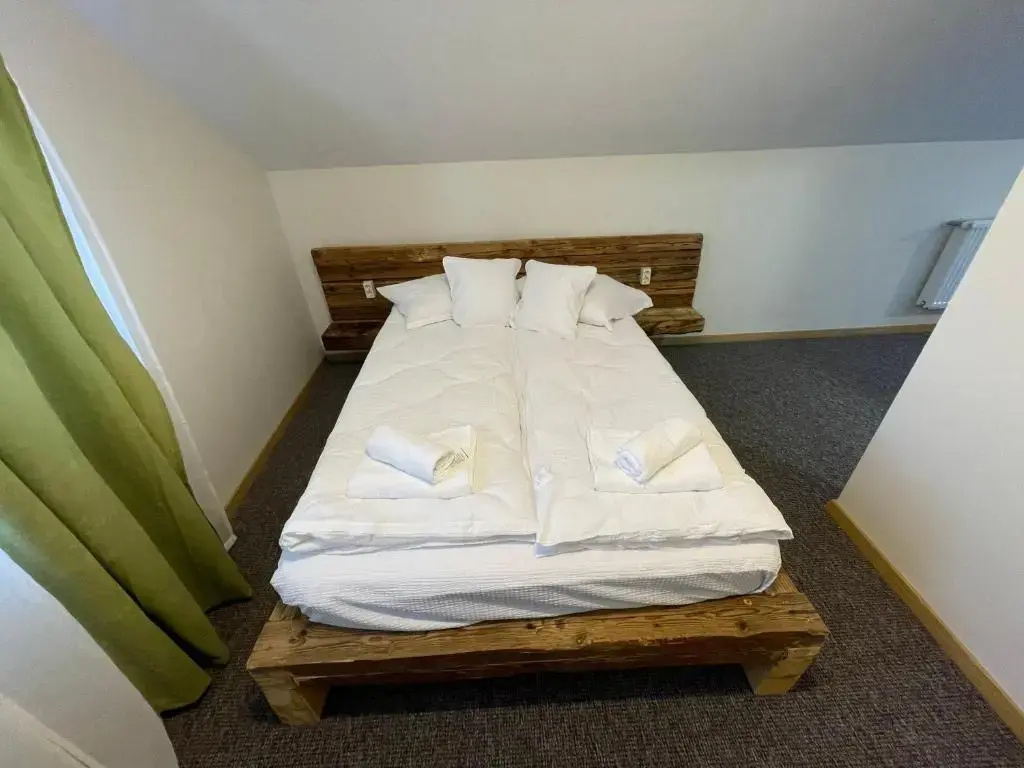 Pensiunea Vis Alpin Belis - Chambres