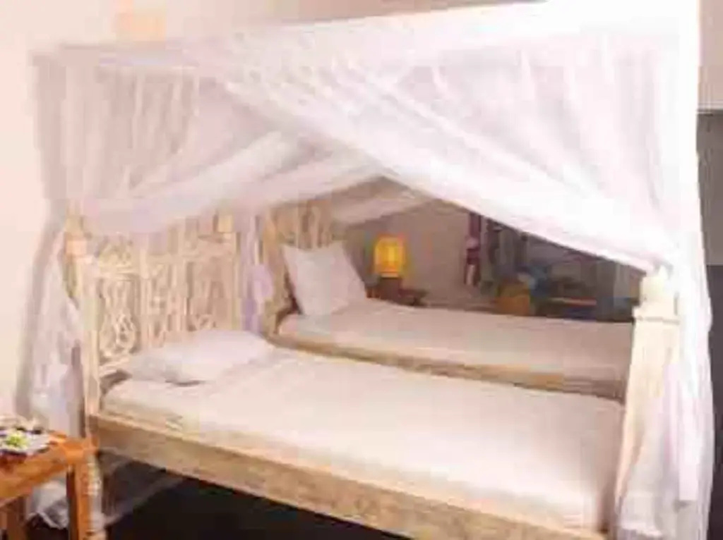 Standard Double room with garden view (twin beds)