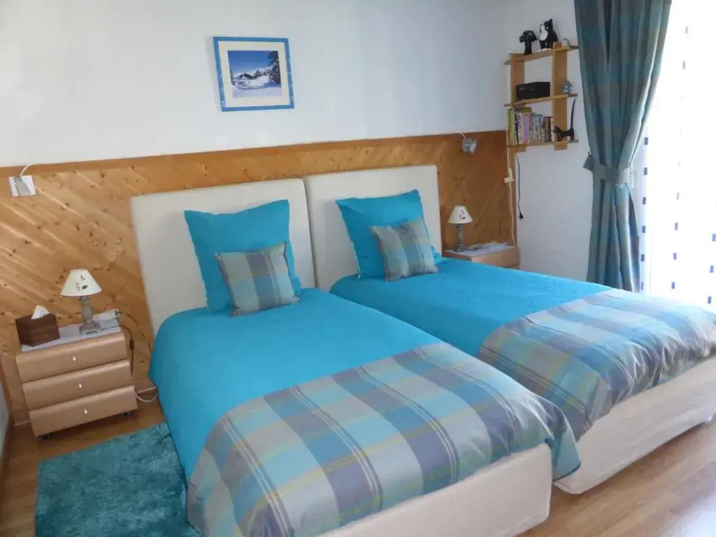 Standard Double room (twin beds)