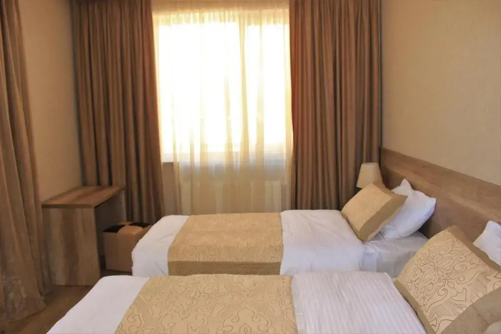Standard Double room with mountain view (twin beds)