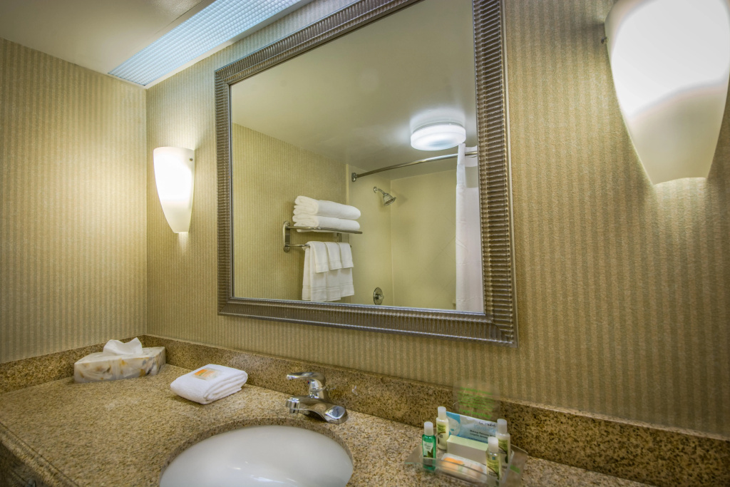 Holiday Inn Arlington at Ballston - Général