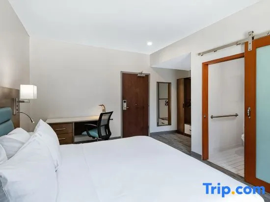 TRYP by Wyndham Tallahassee North I-10 Capital Cir - Chambres