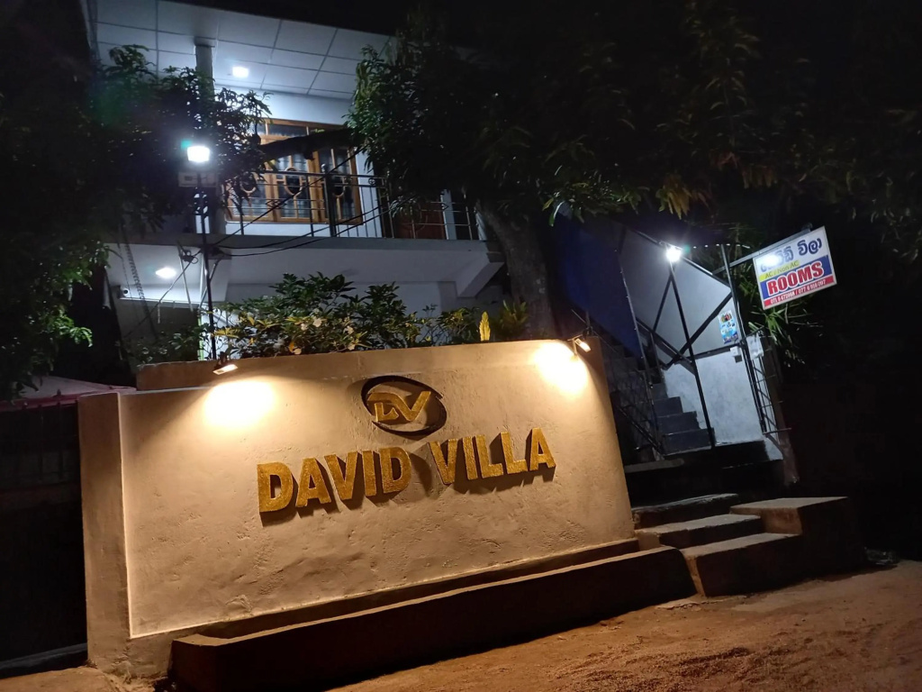 David Villa
