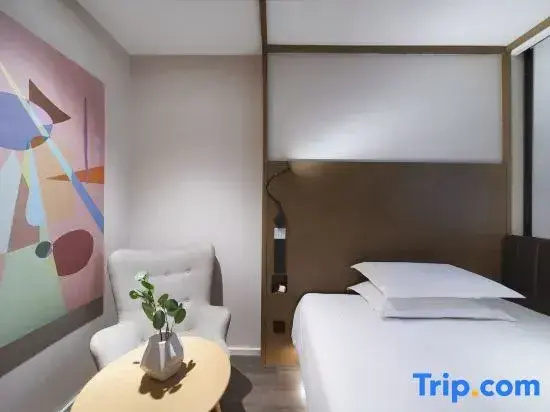 Hanting Premium Hotel Nanjing Xuanwumen - Chambres