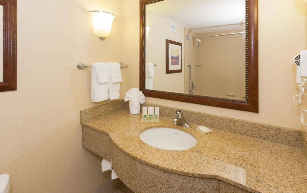 Hilton Garden Inn Buffalo Airport - Général