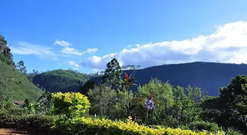 High Grove Bungalow