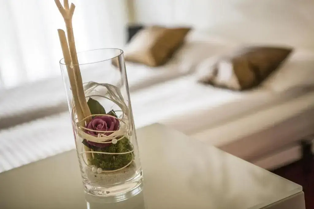Standard Double room with partial view (full double bed)