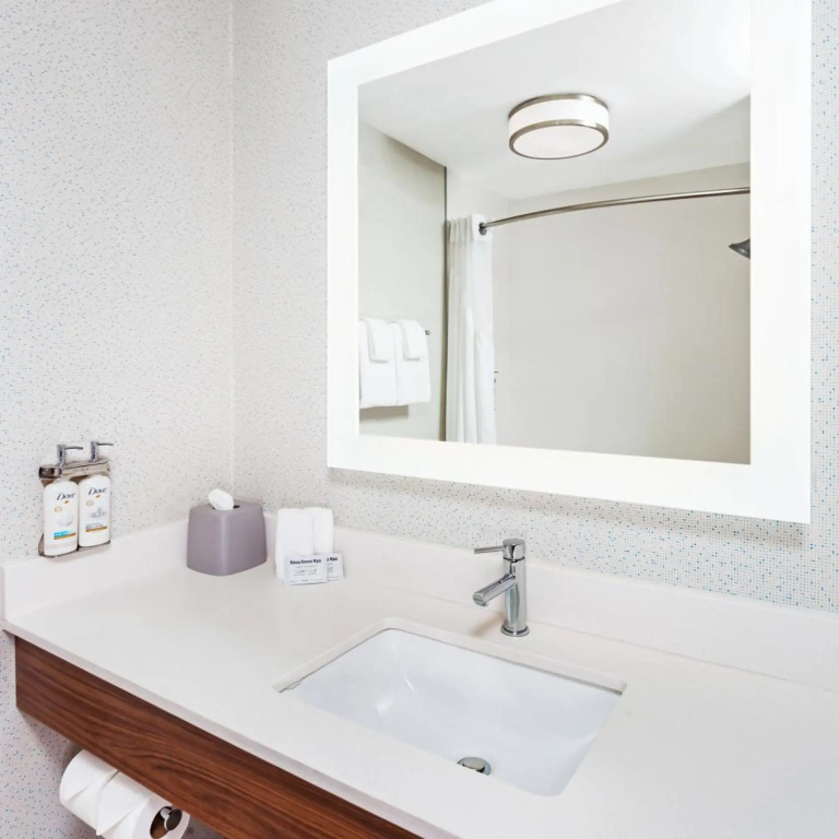 Holiday Inn Express Hotel & Suites Chicago South Lansing by IHG - Général