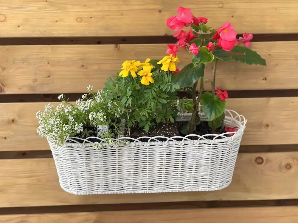 Gateway To Greenwich Suites