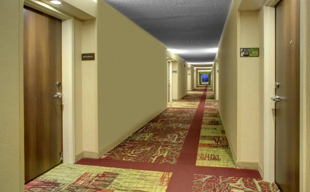 Hampton Inn Greenville I-385 - Woodruff Rd. - Général