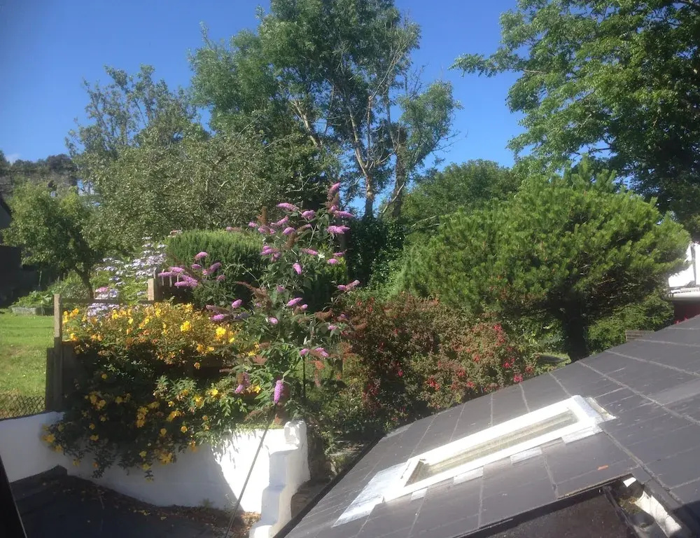 Steeple View Bed & Breakfast and Retreat