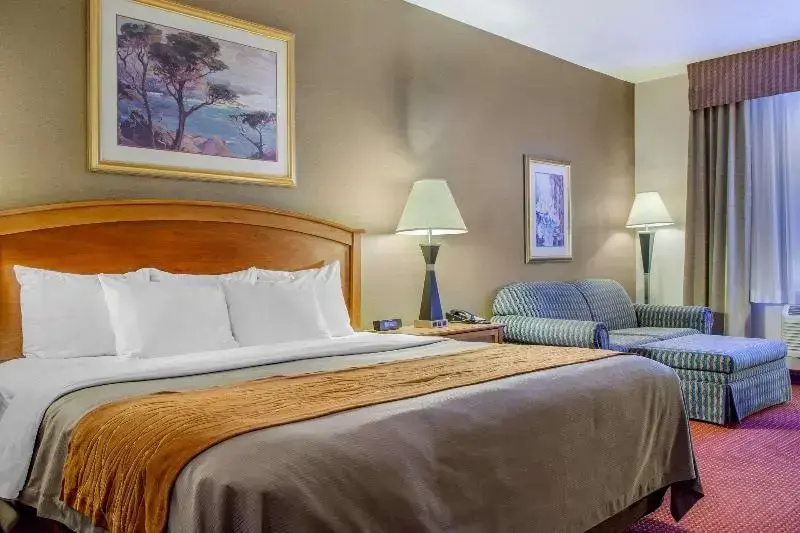 Comfort Inn & Suites I-25 Near Spaceport America - Chambres