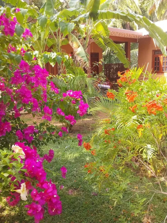 Sigiriya Nature Villa Lodge - фото 35