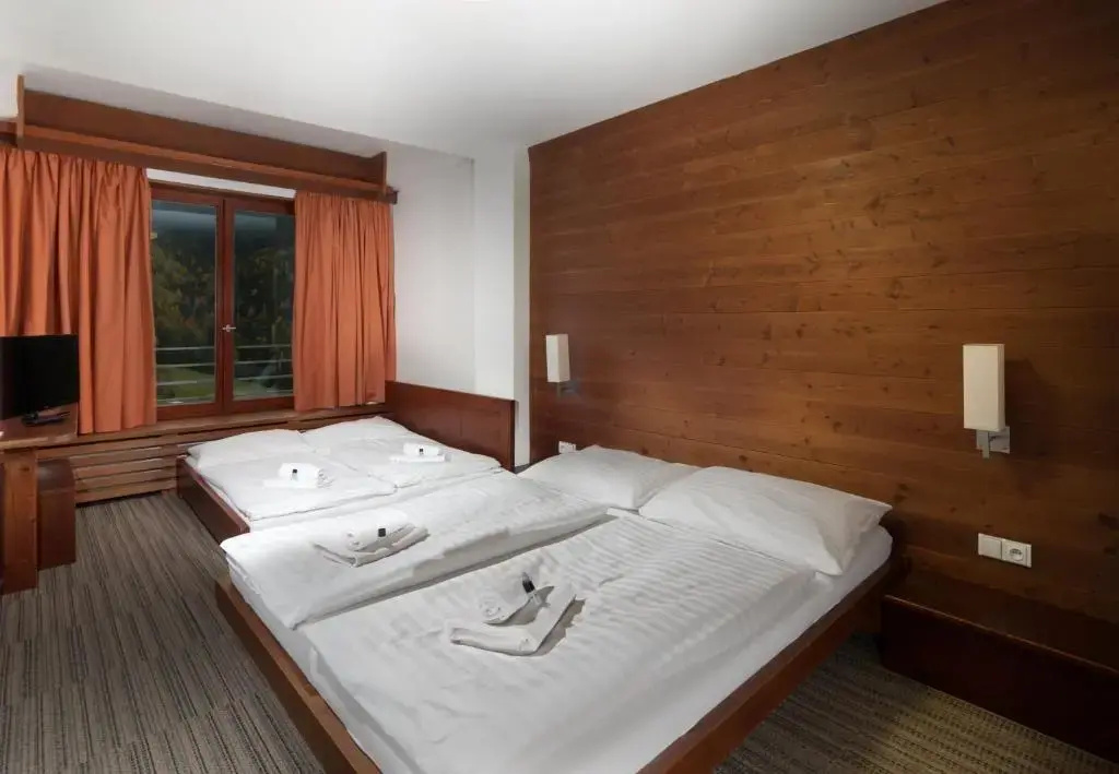 Standard Double room with mountain view (full double bed)