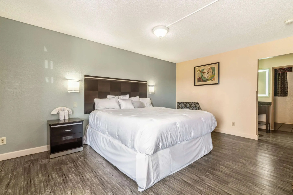 Standard Double room (full double bed)