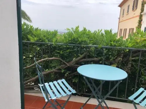 Balcony & Terrace