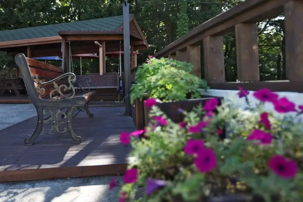 Forest Village Padosori Pension