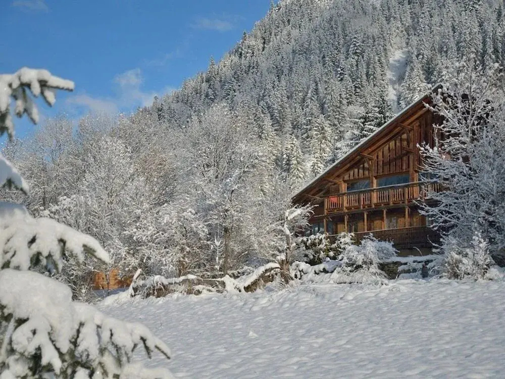 Voir la photo 1 — Chalet Cannelle