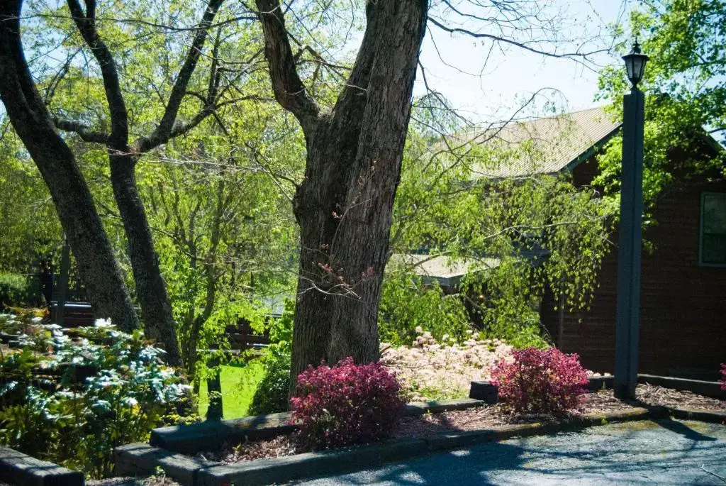 Country Hideaway at Mountain Lakes - Chambres
