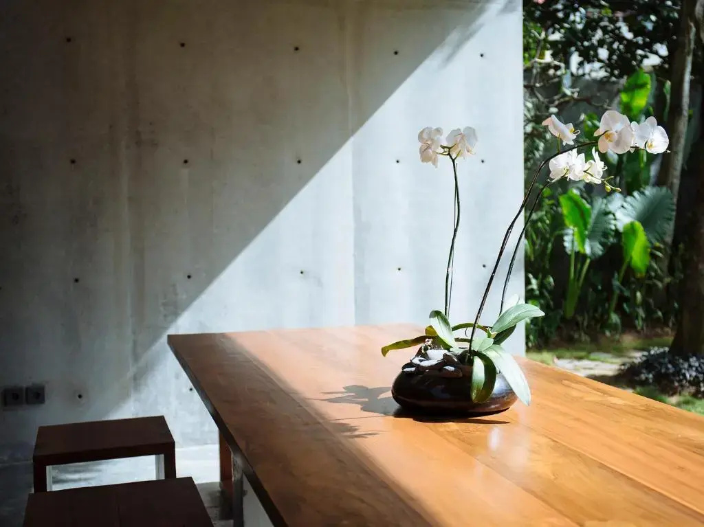 Villa with garden view