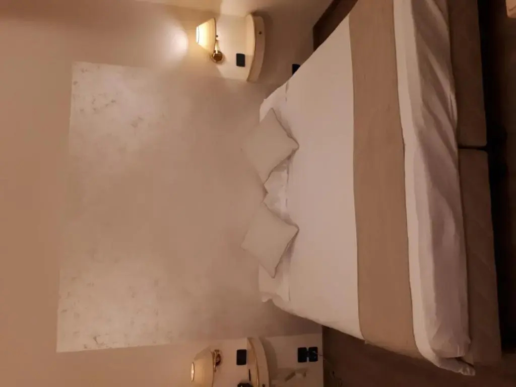 Superior Double room (full double bed)