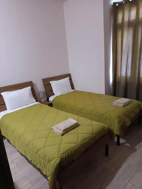 Standard Double room (twin beds)
