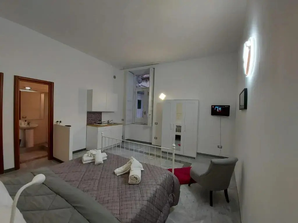 Standard Double room (full double bed)