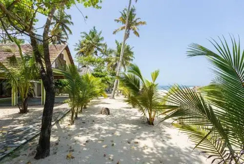 Beach & Waterfront