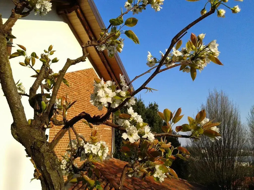 B&B Cascina Belsito