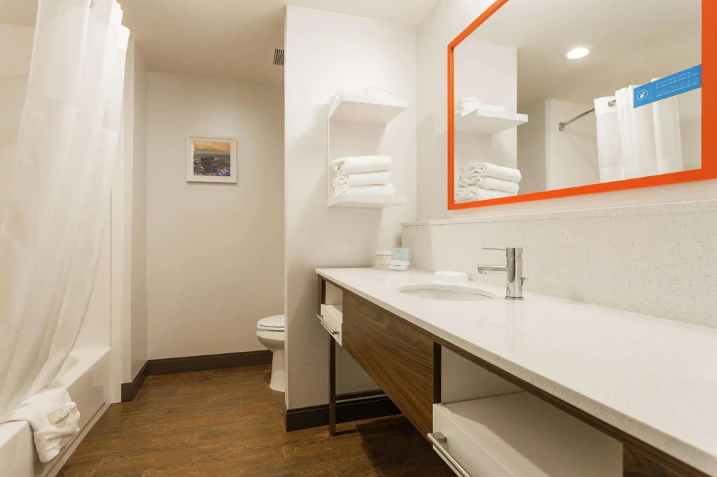 Deluxe Double room (twin beds)