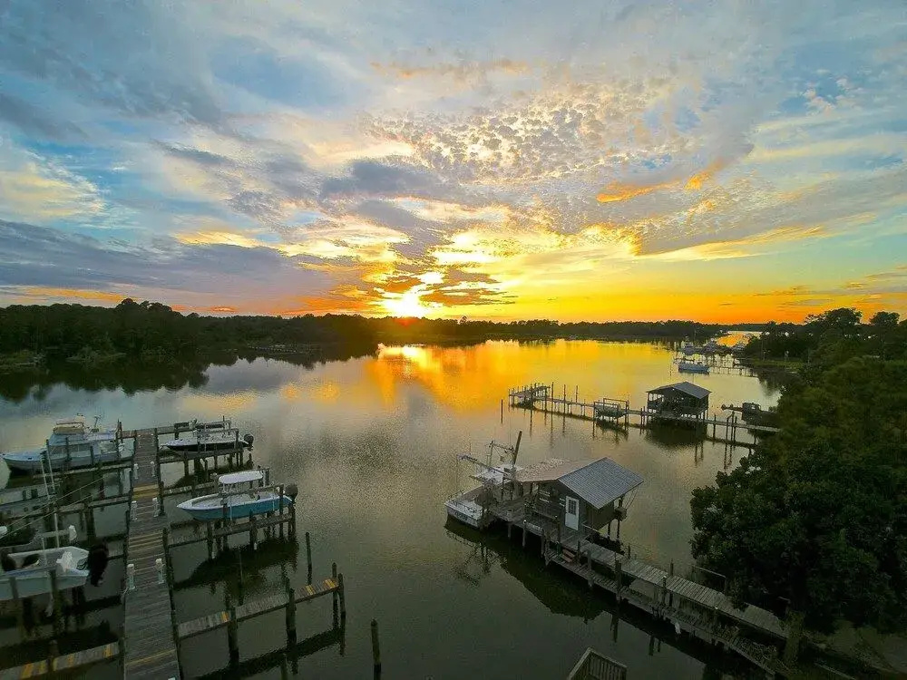 Bay John 307