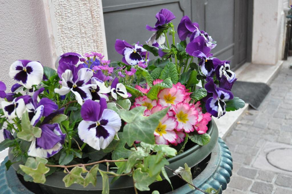 Image 21