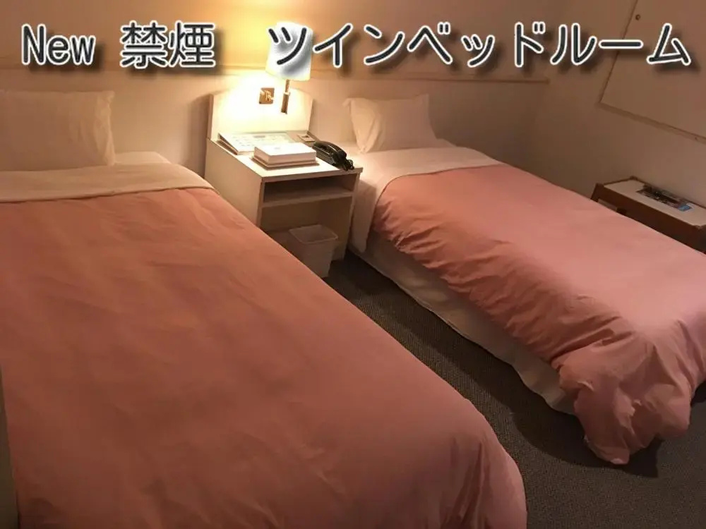 Standard Double room (twin beds)