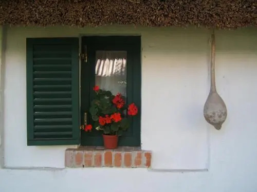 Banditanya - фото 7