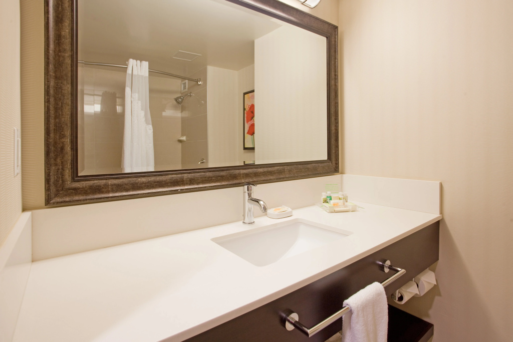 Holiday Inn Vancouver Centre by IHG - Général