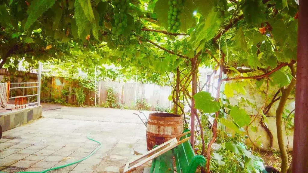 apartmentpicture