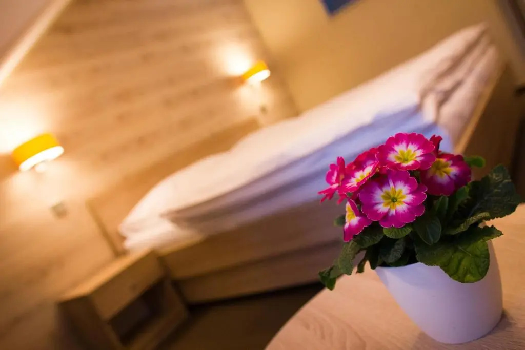 Hotel Freud - Chambres
