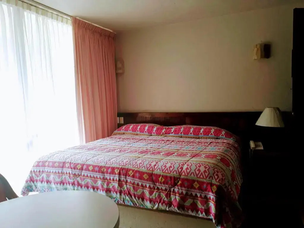 Hotel Del Parque - Chambres
