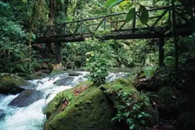 Eco Lodge Hotel