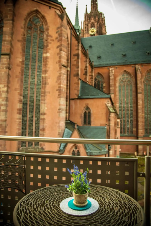 Image 15
