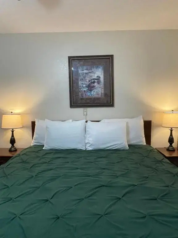 Standard Double room with pool view (full double bed)