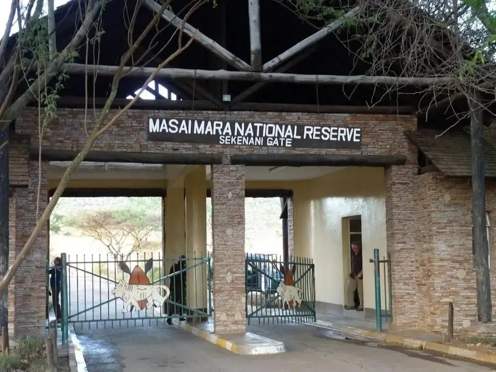 Sekenani Camp