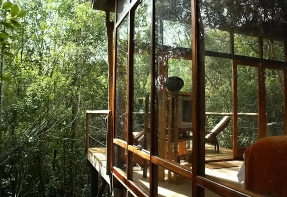 Balcony & Terrace
